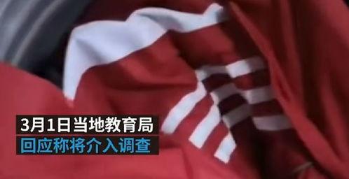 家长爆料校服视频教程,家长爆料视频教程深度解析