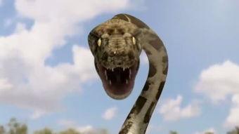 蟒蛇电影在线观看,惊悚刺激的在线观影之旅